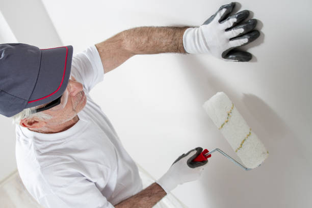 Best Basement Mold Removal  in Ada, OH