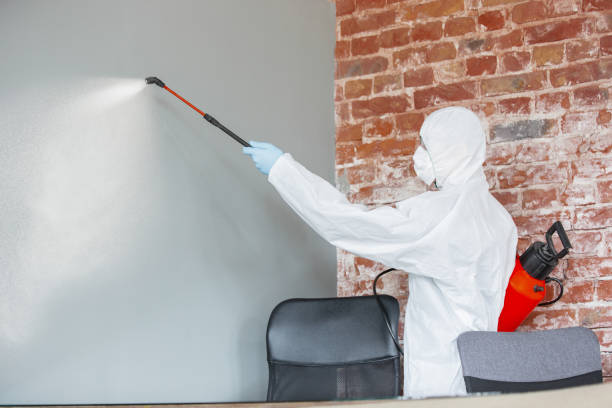 Best Post-Construction Mold Inspection  in Ada, OH