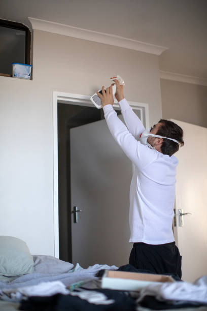 Best Mold Odor Removal Services  in Ada, OH