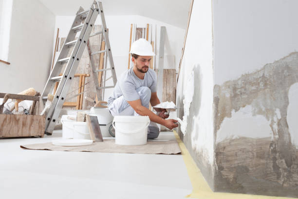 Best Mold Odor Removal Services  in Ada, OH