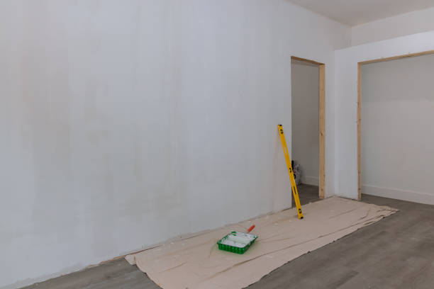 Best Black Mold Removal  in Ada, OH