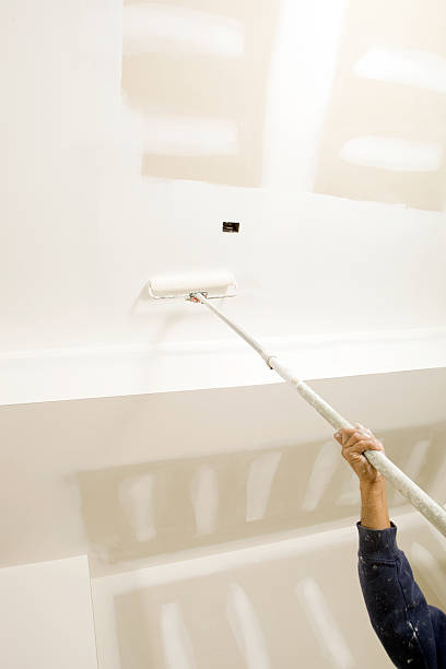Mold Documentation for Insurance Claims in Ada, OH