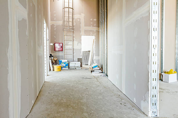 Best Attic Mold Removal  in Ada, OH