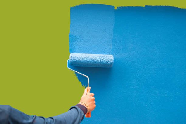 Reliable Ada, OH Mold Removal Solutions